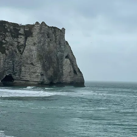 Nid Elegant - Vue Chapelle Et * Étretat